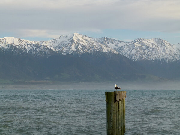 Kaikoura Coast