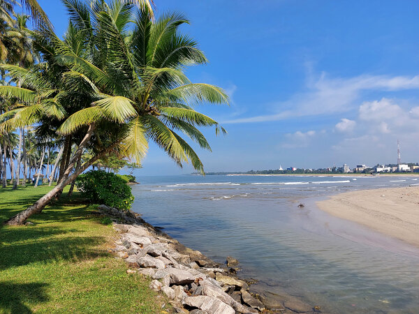 Palm Coast