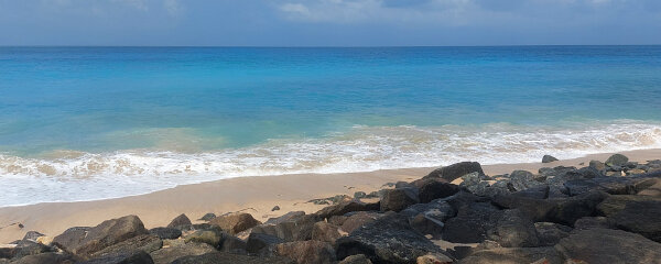 Turquoise Shore
