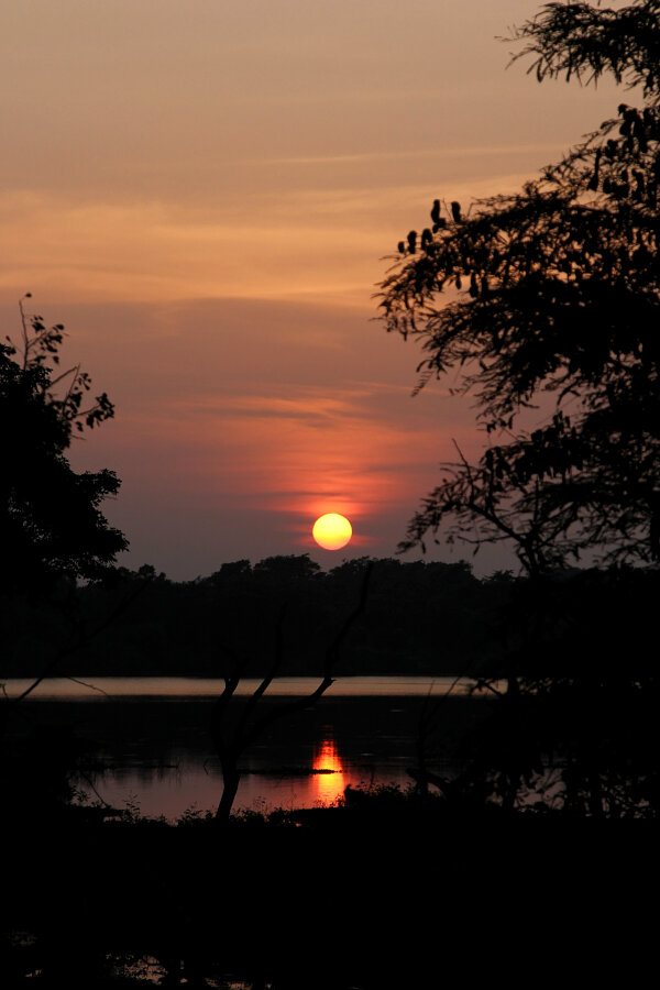 Wilpattu evening sunset